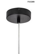 LAMPA wisząca ALURE 120 Moosee MOOSEE CZARNA obręcz klosze PRZEZROCZYSTE 15xG9 LAMPA wisząca ALURE 120 Moosee MOOSEE CZARNA obręcz klosze PRZEZROCZYSTE 15xG9