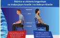 WYPRZEDAŻ Entelo krzesło do biurka STUDENT rozm. 6 czarme - (159 - 188 cm) WYPRZEDAŻ Entelo krzesło do biurka STUDENT rozm. 6 czarme - (159 - 188 cm)