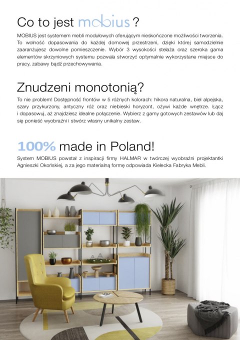 Halmar MOBIUS SZAFKA NISKA 1D korpus: hikora naturalna, fronty szary przykurzony płyta okleinowana obrzeża ABS system push-click Halmar MOBIUS SZAFKA NISKA 1D korpus: hikora naturalna, fronty szary przykurzony płyta okleinowana obrzeża ABS system push-click