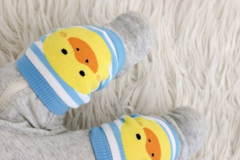 Zoocchini Zoocchini Nakolanniki do Raczkowania Koala i Kaczka Zoocchini Zoocchini Nakolanniki do Raczkowania Koala i Kaczka