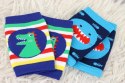 Zoocchini Zoocchini Nakolanniki do Raczkowania Rekin i Dinozaur Zoocchini Zoocchini Nakolanniki do Raczkowania Rekin i Dinozaur