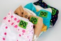 Zoocchini Zoocchini Pielucha wielorazowa AIO z 2 wkładami Jelonek Fiona Zoocchini Zoocchini Pielucha wielorazowa AIO z 2 wkładami Jelonek Fiona