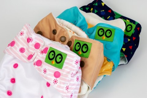 Zoocchini Zoocchini Pielucha wielorazowa AIO z 2 wkładami Jelonek Fiona Zoocchini Zoocchini Pielucha wielorazowa AIO z 2 wkładami Jelonek Fiona