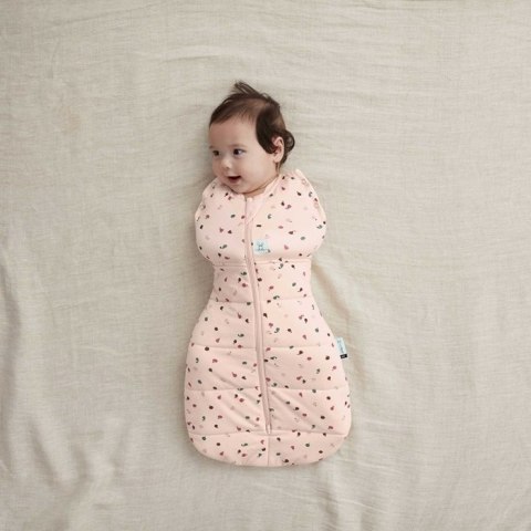 ErgoPouch ErgoPouch Otulacz Śpiworek 0-3M 2.5TOG Cute Fruit ErgoPouch ErgoPouch Otulacz Śpiworek 0-3M 2.5TOG Cute Fruit