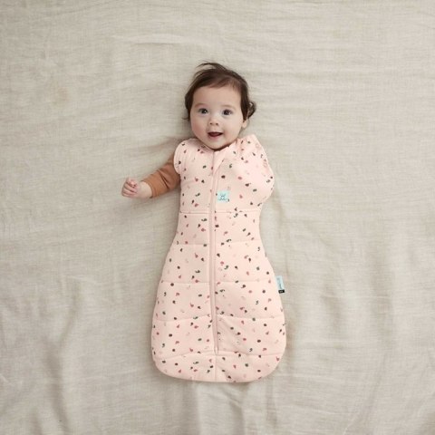 ErgoPouch ErgoPouch Otulacz Śpiworek 3-6M 2.5TOG Cute Fruit ErgoPouch ErgoPouch Otulacz Śpiworek 3-6M 2.5TOG Cute Fruit