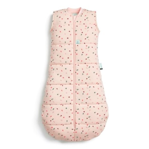 ErgoPouch ErgoPouch Śpiworek Jersey 8-24M 2.5TOG Cute Fruit ErgoPouch ErgoPouch Śpiworek Jersey 8-24M 2.5TOG Cute Fruit