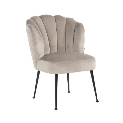 Richmond Interiors RICHMOND krzesło PIPPA KHAKI - welur, podstawa czarna Richmond Interiors RICHMOND krzesło PIPPA KHAKI - welur, podstawa czarna