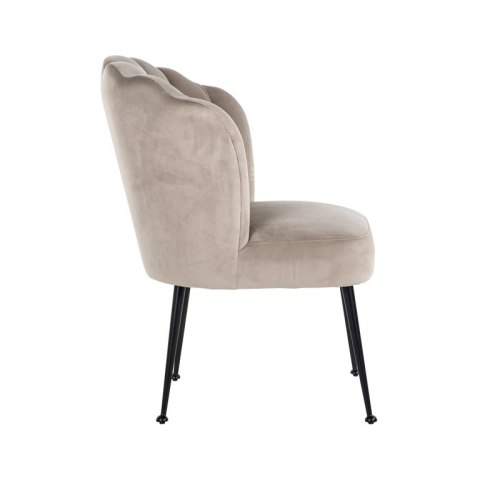 Richmond Interiors RICHMOND krzesło PIPPA KHAKI - welur, podstawa czarna Richmond Interiors RICHMOND krzesło PIPPA KHAKI - welur, podstawa czarna