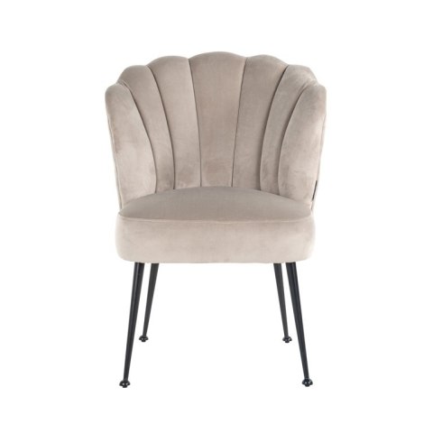 Richmond Interiors RICHMOND krzesło PIPPA KHAKI - welur, podstawa czarna Richmond Interiors RICHMOND krzesło PIPPA KHAKI - welur, podstawa czarna