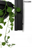 Moosee MOOSEE Kinkiet lampa ścienna LED PLANT WALL czarna metal klosz szklany biały na dole stelaża doniczka Moosee MOOSEE Kinkiet lampa ścienna LED PLANT WALL czarna metal klosz szklany biały na dole stelaża doniczka