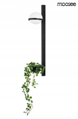 Moosee MOOSEE Kinkiet lampa ścienna LED PLANT WALL czarna metal klosz szklany biały na dole stelaża doniczka