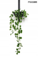 Moosee MOOSEE Kinkiet lampa ścienna LED PLANT WALL czarna metal klosz szklany biały na dole stelaża doniczka Moosee MOOSEE Kinkiet lampa ścienna LED PLANT WALL czarna metal klosz szklany biały na dole stelaża doniczka