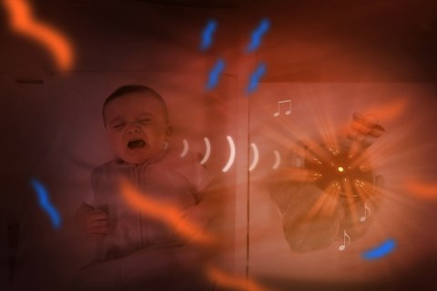 Zazu Kids Zazu SHALLY Projektor Zachodzącego Słońca Ptaszek Zazu Kids Zazu SHALLY Projektor Zachodzącego Słońca Ptaszek