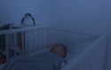 Zazu Kids Zazu SHALLY Projektor Zachodzącego Słońca Ptaszek Zazu Kids Zazu SHALLY Projektor Zachodzącego Słońca Ptaszek