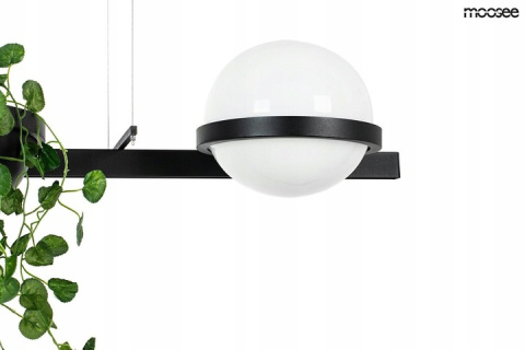 Moosee MOOSEE lampa wisząca LED PLANT czarna metal klosze szkło biały z donicą sztuczne rośliny w zestawie Moosee MOOSEE lampa wisząca LED PLANT czarna metal klosze szkło biały z donicą sztuczne rośliny w zestawie