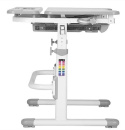 Fun Desk Fressia Grey z lampką - Regulowane biurko z szufladą Cubby Biały/Szary Fun Desk Fressia Grey z lampką - Regulowane biurko z szufladą Cubby Biały/Szary