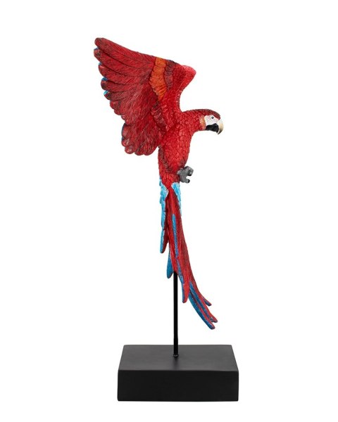 Kare Design KARE dekoracja PAPUGA ROZŁOŻONE SKRZYDŁA 52x61 cm czerwona / niebieska Kare Design KARE dekoracja PAPUGA ROZŁOŻONE SKRZYDŁA 52x61 cm czerwona / niebieska