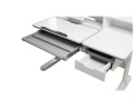 Biurko Fun Desk Fiore II Grey Regulowane biurko dla dzieci i młodzieży Biały / Szary Biurko Fun Desk Fiore II Grey Regulowane biurko dla dzieci i młodzieży Biały / Szary