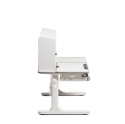 Biurko Fun Desk Fiore II Grey Regulowane biurko dla dzieci i młodzieży Biały / Szary Biurko Fun Desk Fiore II Grey Regulowane biurko dla dzieci i młodzieży Biały / Szary