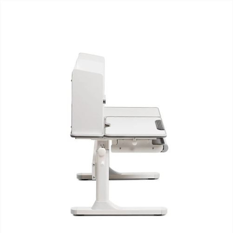 Biurko Fun Desk Fiore II Grey Regulowane biurko dla dzieci i młodzieży Biały / Szary Biurko Fun Desk Fiore II Grey Regulowane biurko dla dzieci i młodzieży Biały / Szary