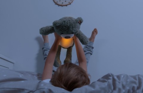 Zazu Kids Zazu BRODY Trener Snu i Szumiąca Przytulanka Miś Blue Zazu Kids Zazu BRODY Trener Snu i Szumiąca Przytulanka Miś Blue