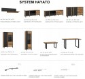 Forte HAYATO HYTV711L-M215 Witryna L - wysoka, wąska, przeszklona, Świerk Alpejski / Czarny Forte HAYATO HYTV711L-M215 Witryna L - wysoka, wąska, przeszklona, Świerk Alpejski / Czarny