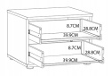 Forte ORIENTAL TREE HUDK011-D105 Szafka nocna szuflady, Dąb Bartex / Czarny