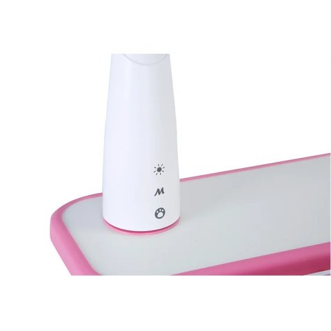 Fressia Pink - Regulowane biurko Cubby Fun Desk Fressia Pink - Regulowane biurko Cubby Fun Desk