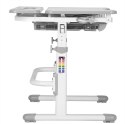 Fressia Grey - Regulowane biurko Cubby w zestawie lampa i stojak na książki - Fun Desk Fressia Grey - Regulowane biurko Cubby w zestawie lampa i stojak na książki - Fun Desk