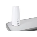 Fressia Grey - Regulowane biurko Cubby w zestawie lampa i stojak na książki - Fun Desk Fressia Grey - Regulowane biurko Cubby w zestawie lampa i stojak na książki - Fun Desk