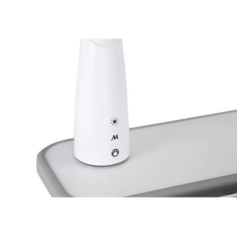 Fressia Grey - Regulowane biurko Cubby w zestawie lampa i stojak na książki - Fun Desk Fressia Grey - Regulowane biurko Cubby w zestawie lampa i stojak na książki - Fun Desk