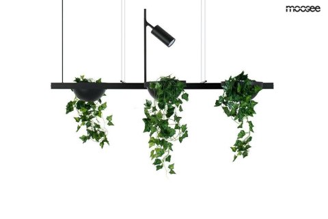 LAMPA WISZĄCA LED PLANT LINE Moosee MOOSEE CZARNA METAL POŁĄCZENIE KWIETNIKA Z OŚWIETLENIEM LAMPKA Z MOŻLIWOŚCIĄ REGULACJI LAMPA WISZĄCA LED PLANT LINE Moosee MOOSEE CZARNA METAL POŁĄCZENIE KWIETNIKA Z OŚWIETLENIEM LAMPKA Z MOŻLIWOŚCIĄ REGULACJI