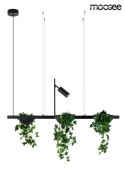 LAMPA WISZĄCA LED PLANT LINE Moosee MOOSEE CZARNA METAL POŁĄCZENIE KWIETNIKA Z OŚWIETLENIEM LAMPKA Z MOŻLIWOŚCIĄ REGULACJI LAMPA WISZĄCA LED PLANT LINE Moosee MOOSEE CZARNA METAL POŁĄCZENIE KWIETNIKA Z OŚWIETLENIEM LAMPKA Z MOŻLIWOŚCIĄ REGULACJI