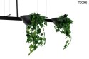 LAMPA WISZĄCA LED PLANT LINE Moosee MOOSEE CZARNA METAL POŁĄCZENIE KWIETNIKA Z OŚWIETLENIEM LAMPKA Z MOŻLIWOŚCIĄ REGULACJI LAMPA WISZĄCA LED PLANT LINE Moosee MOOSEE CZARNA METAL POŁĄCZENIE KWIETNIKA Z OŚWIETLENIEM LAMPKA Z MOŻLIWOŚCIĄ REGULACJI