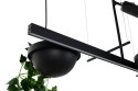 LAMPA WISZĄCA LED PLANT LINE Moosee MOOSEE CZARNA METAL POŁĄCZENIE KWIETNIKA Z OŚWIETLENIEM LAMPKA Z MOŻLIWOŚCIĄ REGULACJI LAMPA WISZĄCA LED PLANT LINE Moosee MOOSEE CZARNA METAL POŁĄCZENIE KWIETNIKA Z OŚWIETLENIEM LAMPKA Z MOŻLIWOŚCIĄ REGULACJI