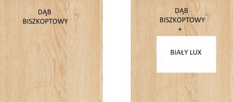 Meblar Półka z przegródkami SANTIAGO System SN10 - Dąb Biszkoptowy Meble młodzieżowe 120 x 25 Meblar Półka z przegródkami SANTIAGO System SN10 - Dąb Biszkoptowy Meble młodzieżowe 120 x 25