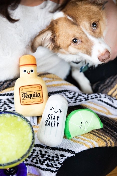 Pearhead Pearhead Zabawka Dla Psa Tequila Shots Pearhead Pearhead Zabawka Dla Psa Tequila Shots