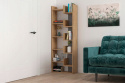 REGAŁ DĄB WOTAN / ANTRACYT PŁYTA LAMINOWANA 170X60 NEO SIGNAL DLA DZIECKA NASTOLATKA DO POKOJU DO SALONU REGAŁ DĄB WOTAN / ANTRACYT PŁYTA LAMINOWANA 170X60 NEO SIGNAL DLA DZIECKA NASTOLATKA DO POKOJU DO SALONU