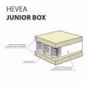 Materac kieszeniowy Hevea Junior Box 160x80 (Aegis Natural Care)