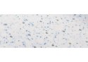 Materac z lateksem Hevea Snudo Max 130x80 (Aegis Natural Care) Materac z lateksem Hevea Snudo Max 130x80 (Aegis Natural Care)