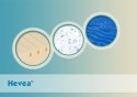Materac z lateksem Hevea Thermomagic Bio Laguna 200x100 (Aegis Natural Care) Materac z lateksem Hevea Thermomagic Bio Laguna 200x100 (Aegis Natural Care)