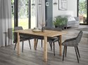 Forte JOAKIMIS TBLT7081-M682 Stół rozkładany, 120-160x80 cm Dąb Mauvella / Czarny Forte JOAKIMIS TBLT7081-M682 Stół rozkładany, 120-160x80 cm Dąb Mauvella / Czarny