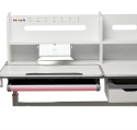 Biurko Fun Desk Fiore II Pink bez nadstawki Regulowane biurko dla dzieci i młodzieży Biały / Szary Biurko Fun Desk Fiore II Pink bez nadstawki Regulowane biurko dla dzieci i młodzieży Biały / Szary