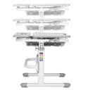 Fressia Grey - Regulowane biurko Cubby w zestawie lampa i stojak na książki - Fun Desk Fressia Grey - Regulowane biurko Cubby w zestawie lampa i stojak na książki - Fun Desk