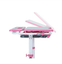 Fun Desk Botero Pink - Biurko z krzesełkiem lampa i stojak na książki - zestaw dla dzieci Białe / Różowe Fun Desk Botero Pink - Biurko z krzesełkiem lampa i stojak na książki - zestaw dla dzieci Białe / Różowe