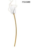 LAMPA WISZĄCA TULIPPE 7 DISC ZŁOTA stal 7xG4 Moosee MOOSEE KLOSZE AKRYL PRZEZROCZYSTY DO SALONU JADALNI LOKALU LAMPA WISZĄCA TULIPPE 7 DISC ZŁOTA stal 7xG4 Moosee MOOSEE KLOSZE AKRYL PRZEZROCZYSTY DO SALONU JADALNI LOKALU