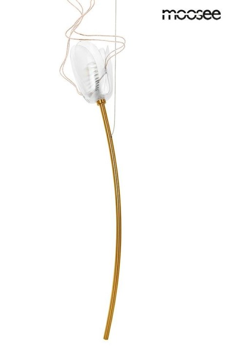 LAMPA WISZĄCA TULIPPE 7 DISC ZŁOTA stal 7xG4 Moosee MOOSEE KLOSZE AKRYL PRZEZROCZYSTY DO SALONU JADALNI LOKALU LAMPA WISZĄCA TULIPPE 7 DISC ZŁOTA stal 7xG4 Moosee MOOSEE KLOSZE AKRYL PRZEZROCZYSTY DO SALONU JADALNI LOKALU