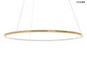 LAMPA WISZĄCA LED Z PILOTEM RING SLIM 150 Moosee MOOSEE ZŁOTA METAL MOŻLIWOŚĆ ŚCIEMNIANIA LAMPY LAMPA WISZĄCA LED Z PILOTEM RING SLIM 150 Moosee MOOSEE ZŁOTA METAL MOŻLIWOŚĆ ŚCIEMNIANIA LAMPY