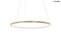 LAMPA WISZĄCA LED Z PILOTEM RING SLIM 60 ZŁOTA STAL Moosee MOOSEE REGULACJA NATĘŻENIA ŚWIATŁA LAMPA WISZĄCA LED Z PILOTEM RING SLIM 60 ZŁOTA STAL Moosee MOOSEE REGULACJA NATĘŻENIA ŚWIATŁA