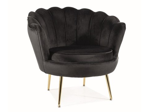 FOTEL CAMELLIA 1 VELVET CZARNY BLUVEL 19/ZŁOTY FOTEL CAMELLIA 1 VELVET CZARNY BLUVEL 19/ZŁOTY